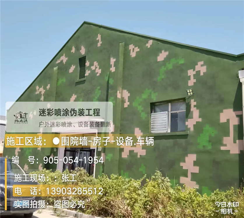 常德外墙数码迷彩漆施工报价清单（100㎡标准墙面测算）